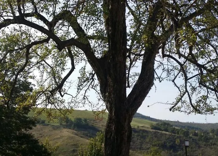 Ben Ti Voglio Alojamento de Turismo Rural