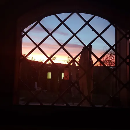 Ben Ti Voglio 볼로냐