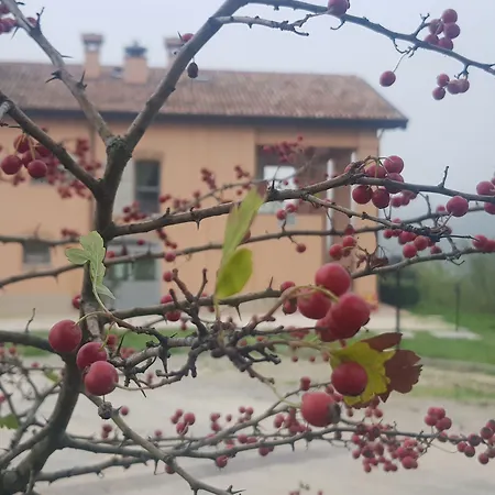 Ben Ti Voglio Alojamento de Turismo Rural *