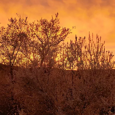 팜스테이 Ben Ti Voglio