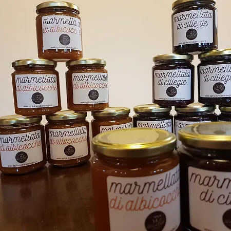 בית חווה Ben Ti Voglio *