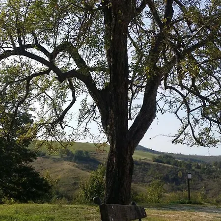 Ben Ti Voglio Farm stay