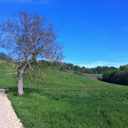 Ben Ti Voglio Alojamento de Turismo Rural Bolonha