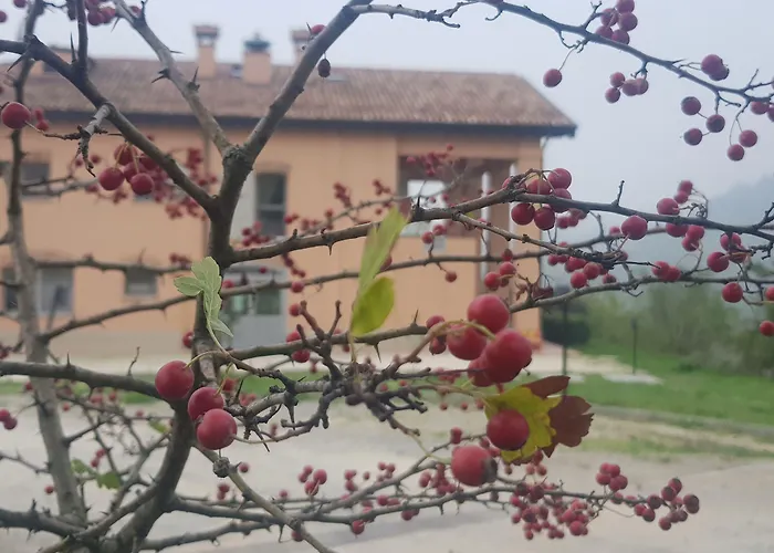 Ben Ti Voglio Alloggio per agriturismo *