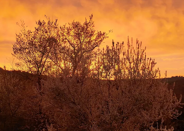 Gospodarstwo agroturystyczne Ben Ti Voglio