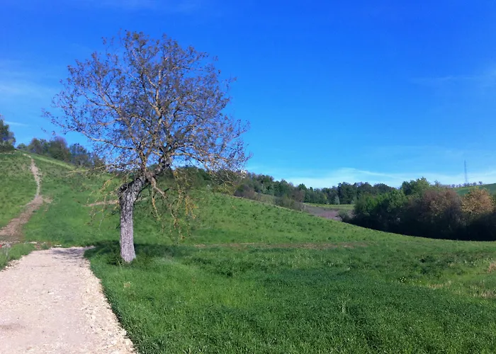Ben Ti Voglio Farma Boloňa