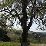 Ben Ti Voglio Bauernhof