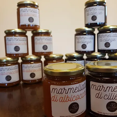 Ben Ti Voglio Bolonia